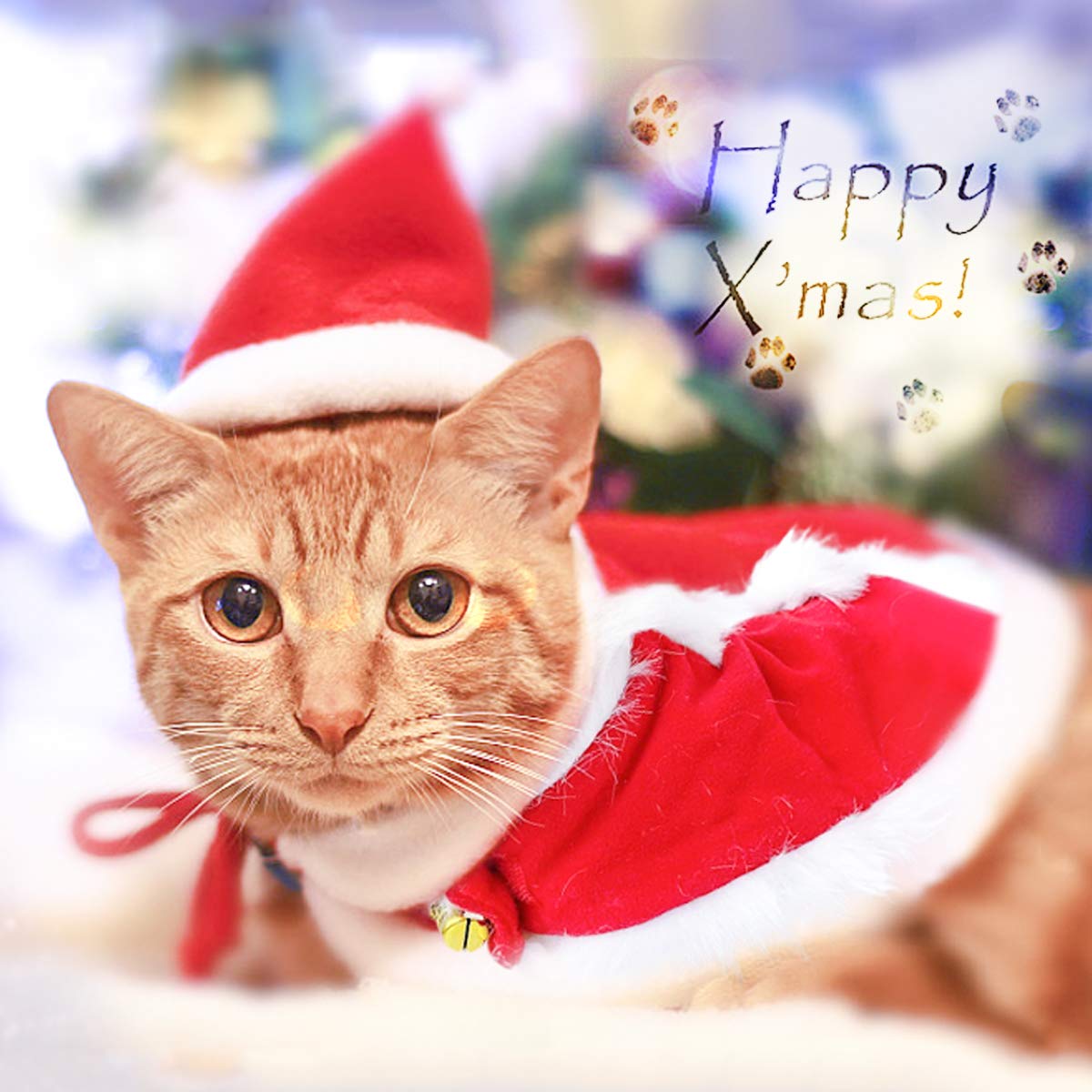 Enjoying Cat Christmas Costume warm cozy outerwear for winter.