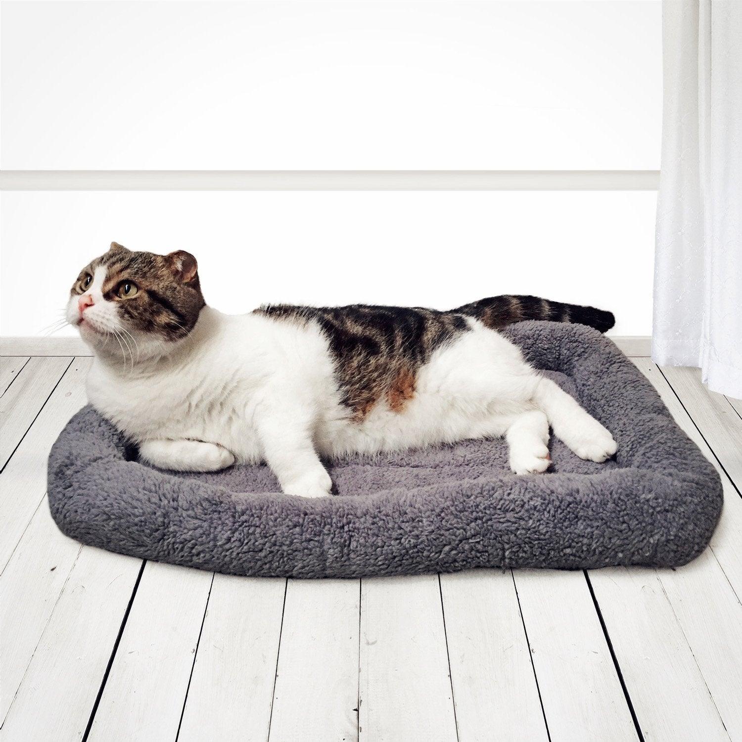 Enjoying Cat Mat Bed crate-use shows it fits in carrier for travel