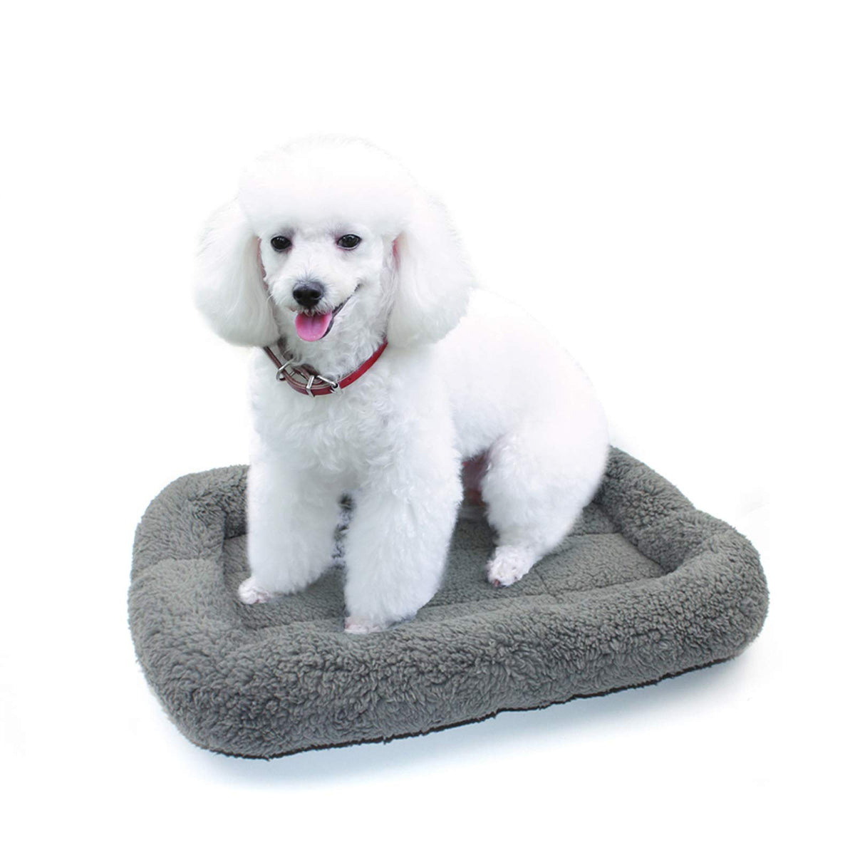 Enjoying Cat Mat Bed outer 16x22 creates a warm nest for pets