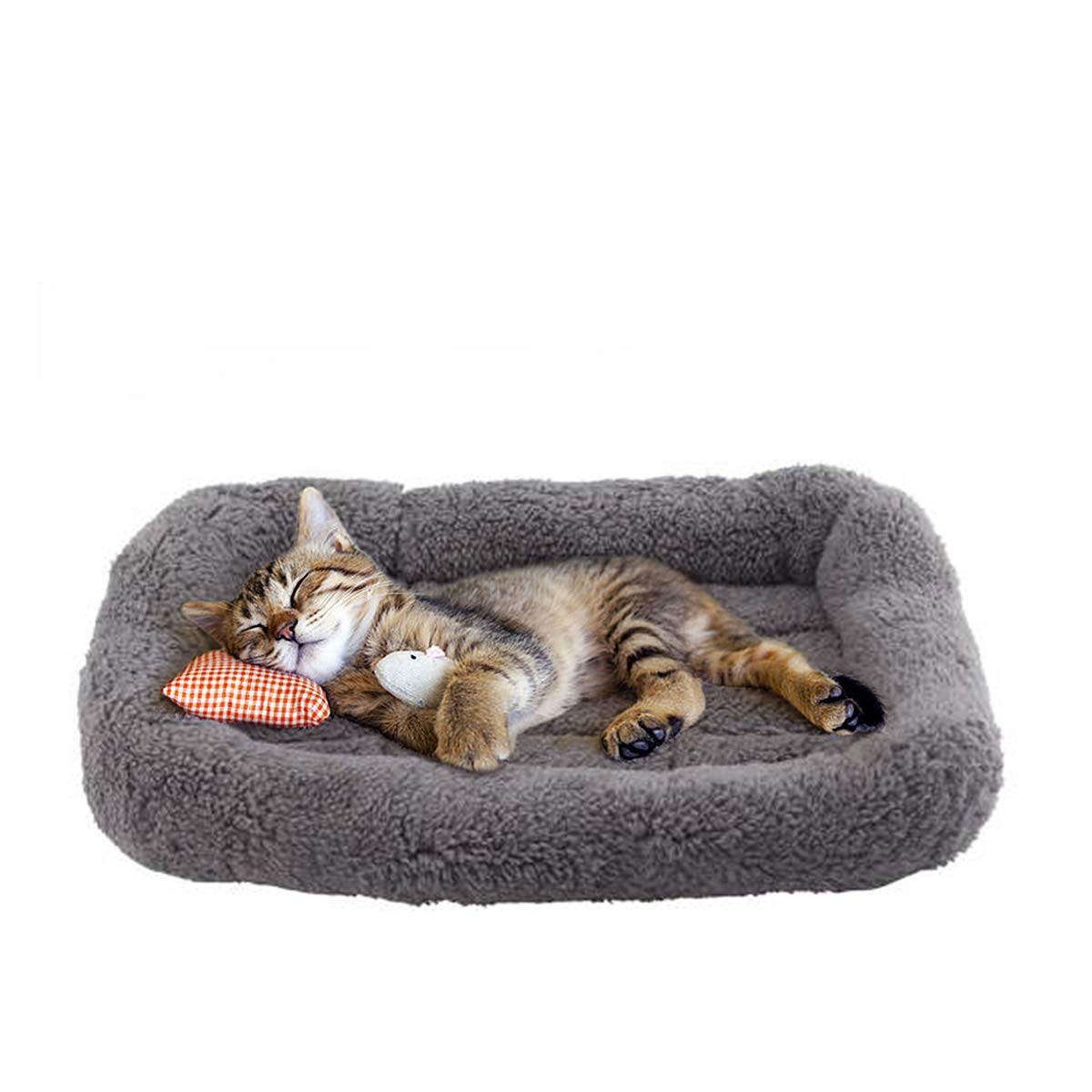 Enjoying Cat Mat Bed raised rim supports a cozy, enclosed sleeping posture.