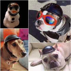 Enjoying dog helmet bulldog front view highlighting durable ABS shell