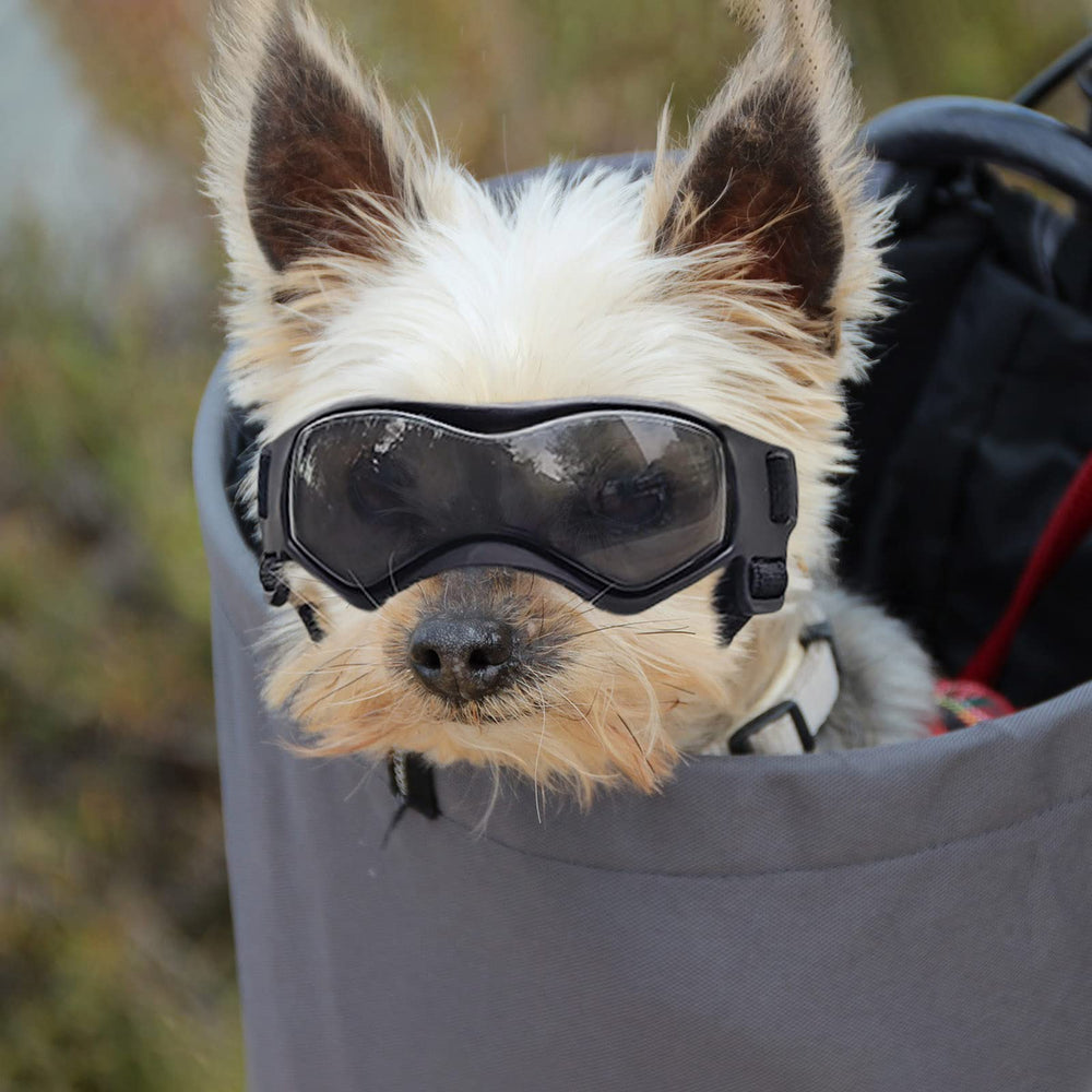 Enjoying dog sunglasses black color adds a sleek look for everyday wear