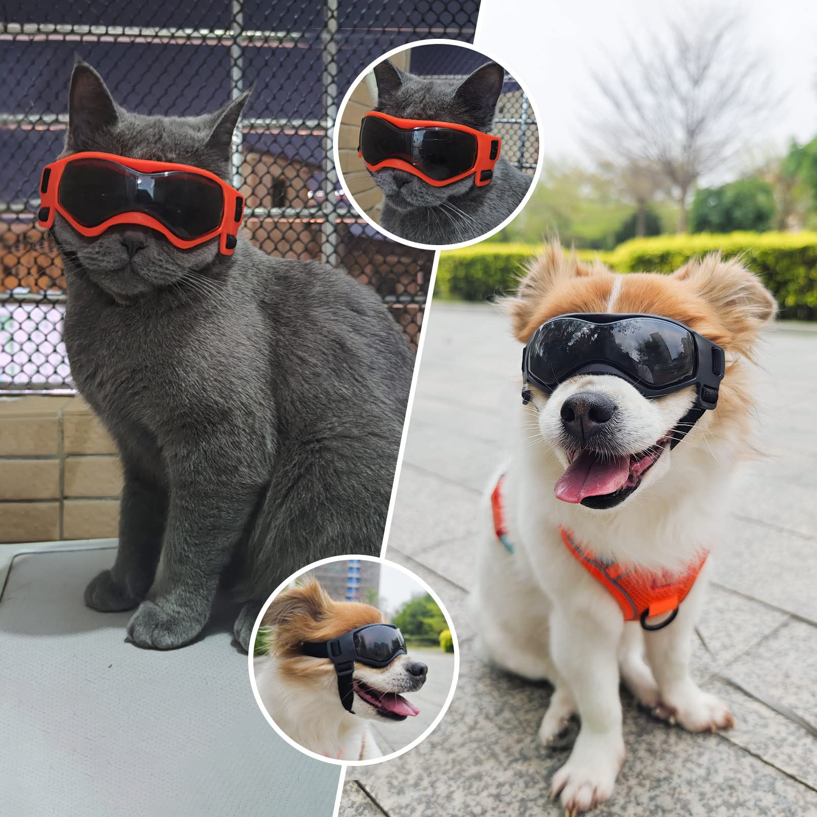 Enjoying dog sunglasses suit small breeds over five pounds for reliable fit