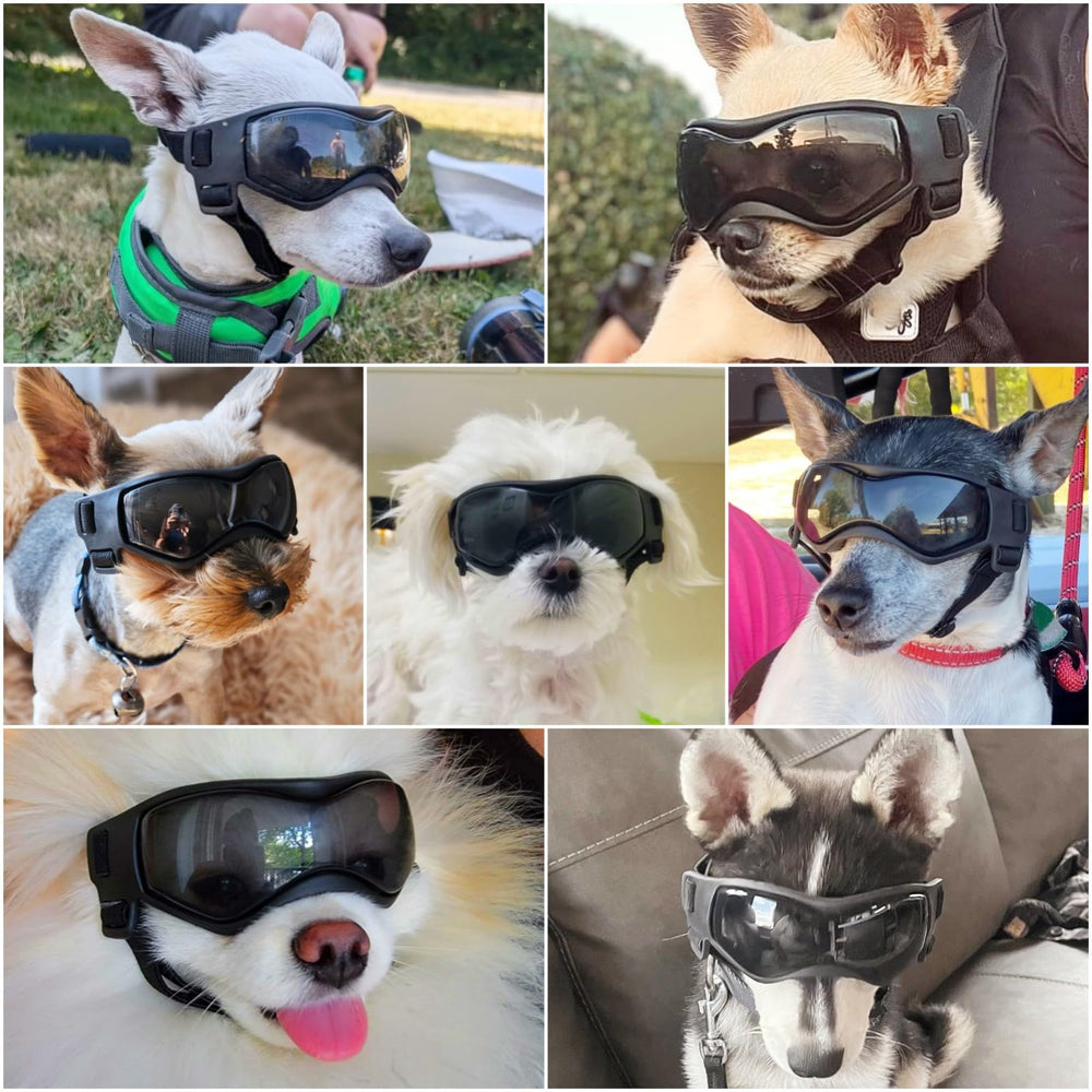 Enjoying dog sunglasses soft TPU frame delivers gentle, comfortable fit