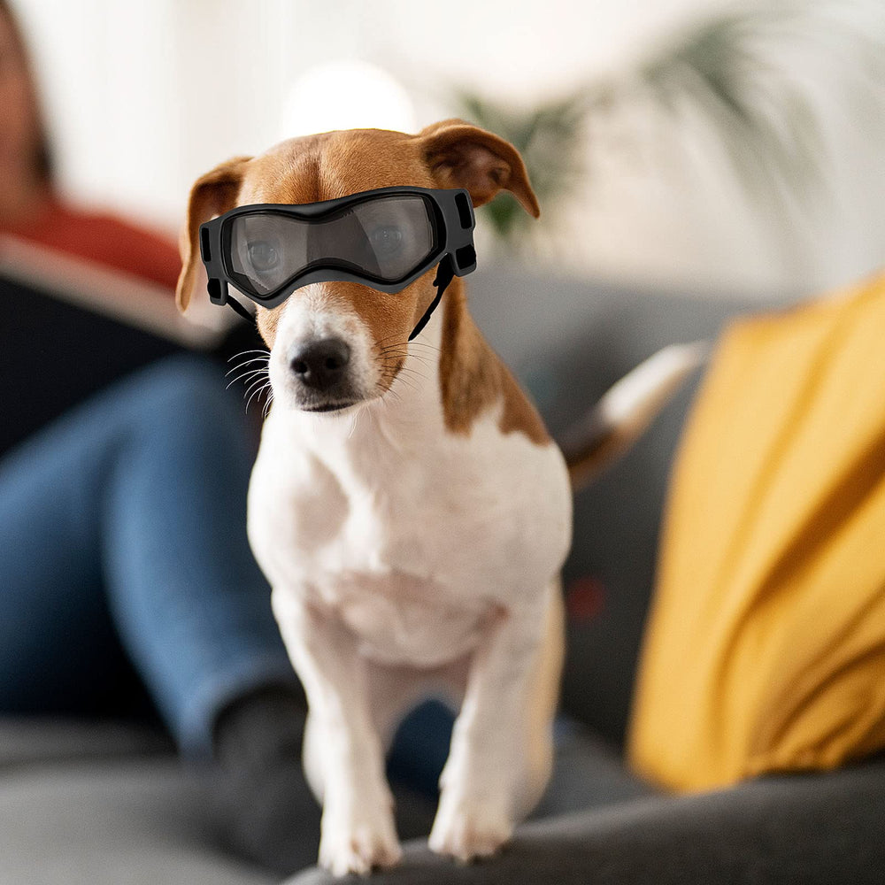 Enjoying dog sunglasses vented design promotes airflow and prevents fogging