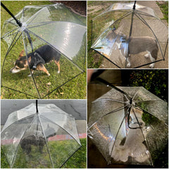 Enjoying dog umbrella clear-material offers visibility for you and pup on the go.