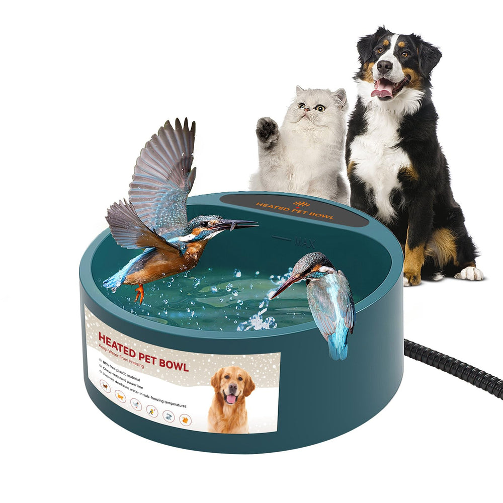 Enjoying heated pet bowl outdoor 2.2L green keeps pets hydrated in cold weather