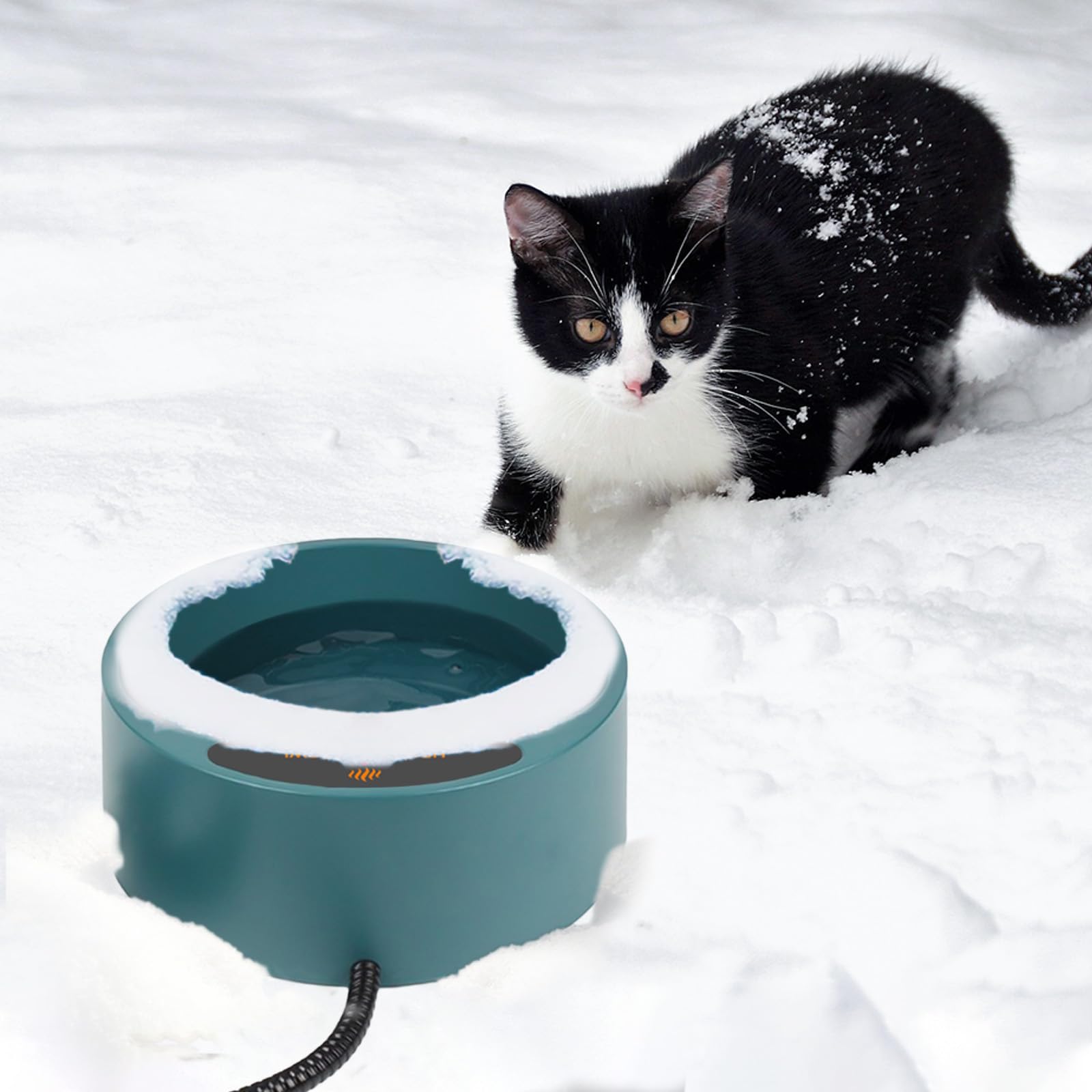 Enjoying heated pet bowl safety notes ensure careful placement away from hazards