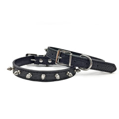Enjoying spiked cat collar closeup with durable PU leather and polished spikes