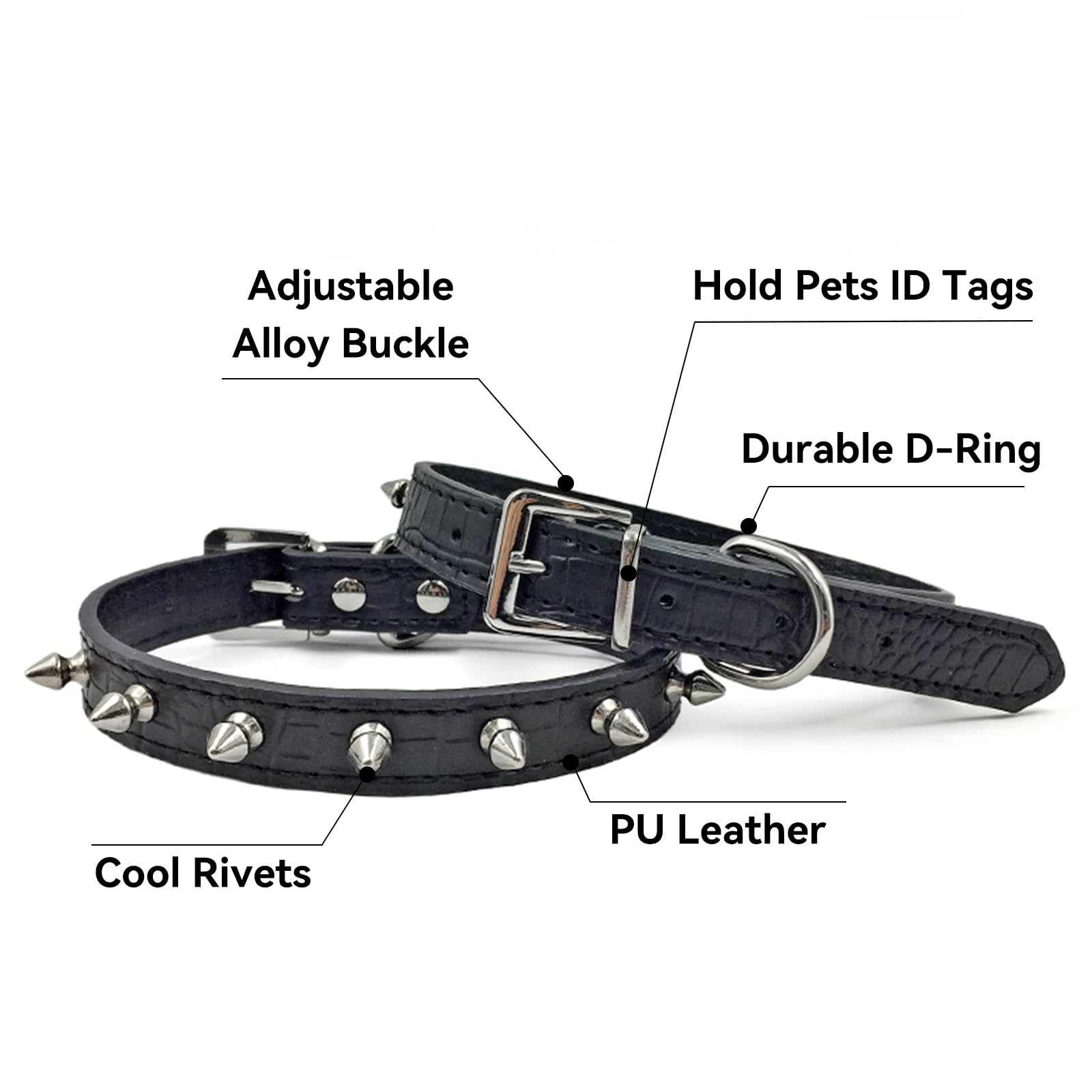 Enjoying spiked collar D-ring and tag ring for secure leashing and ID
