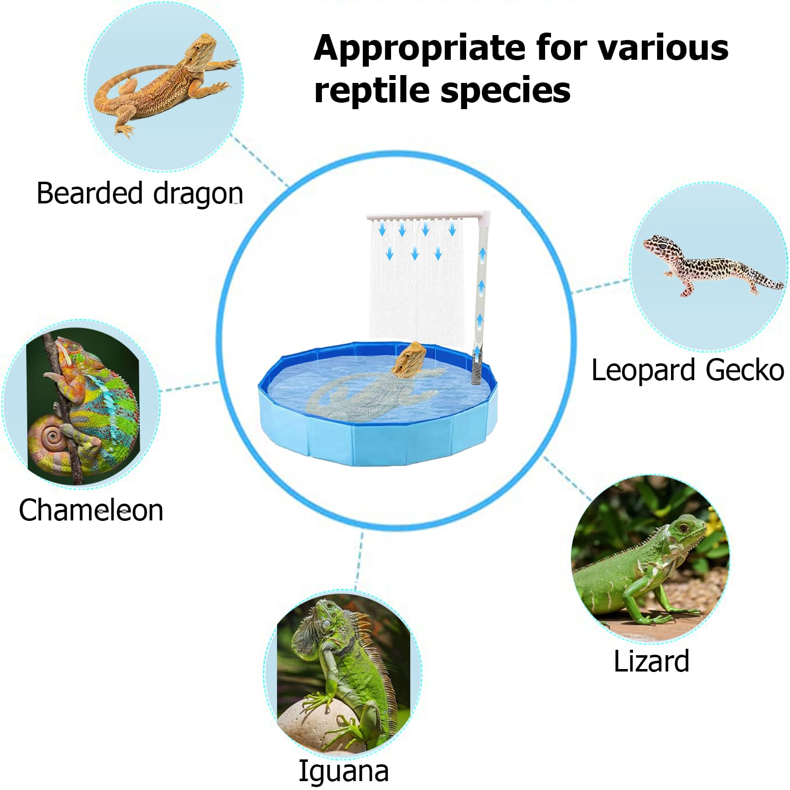 Enochainchin bearded dragon bath filter shows built-in filtration trapping impurities for cleaner water.
