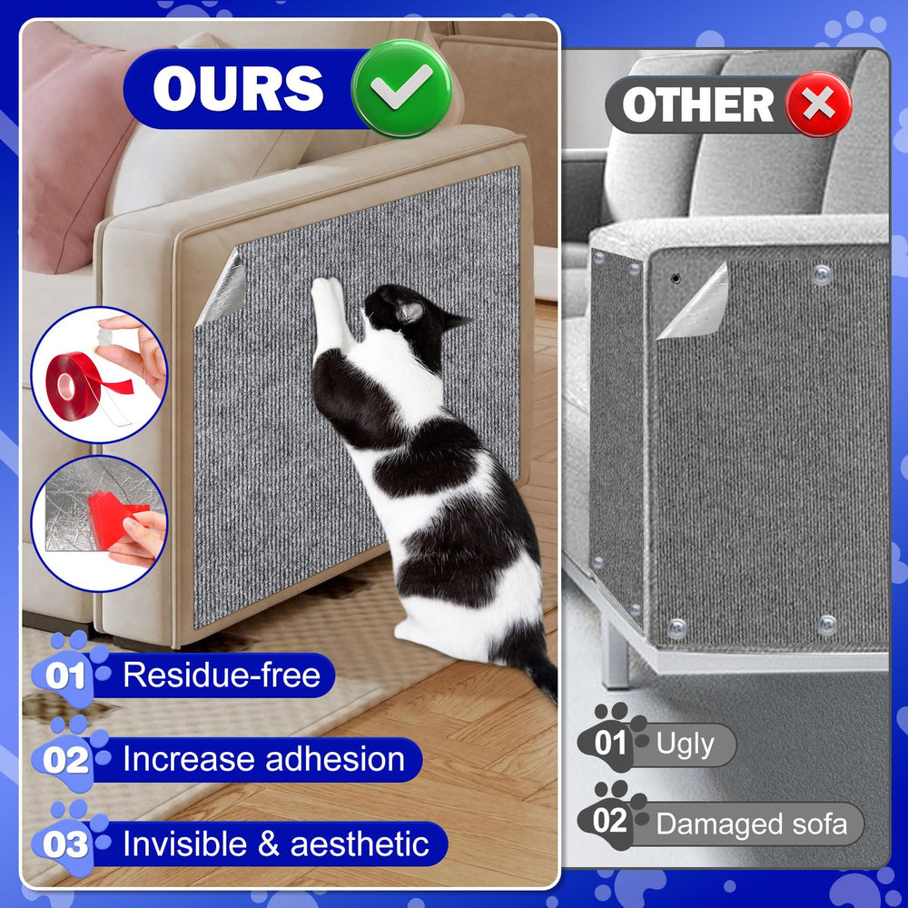 ENONCI-protected living spaces show calm pets and cleaner furniture.