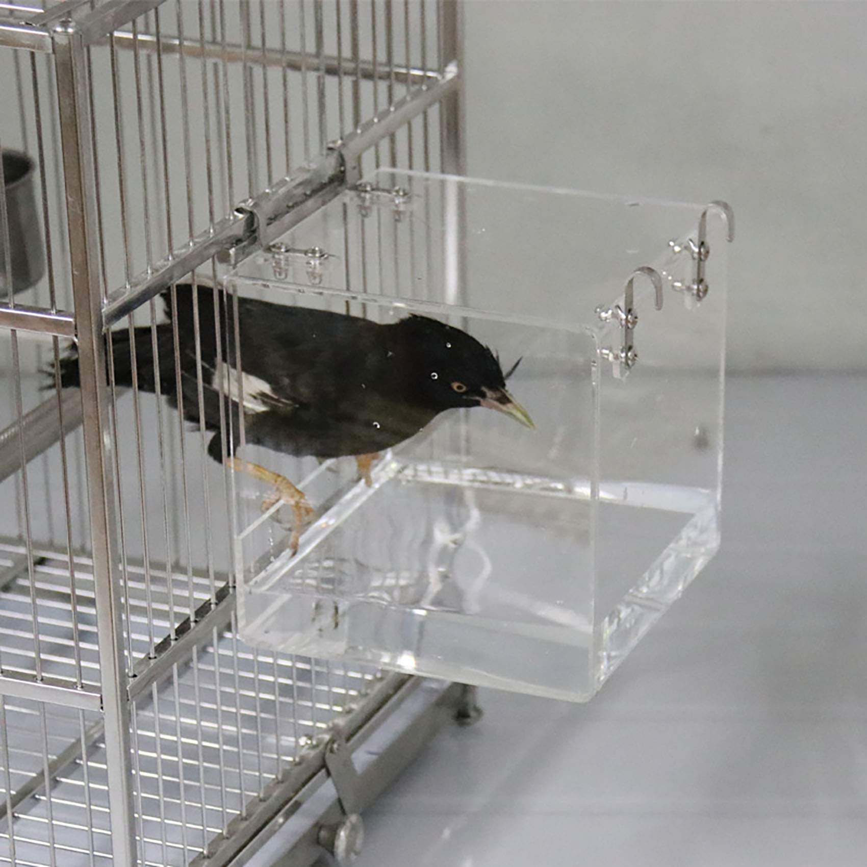 EnoYoo Big Bird Bath Cage dimensions 6.3x6.3x6.3 inch for small birds