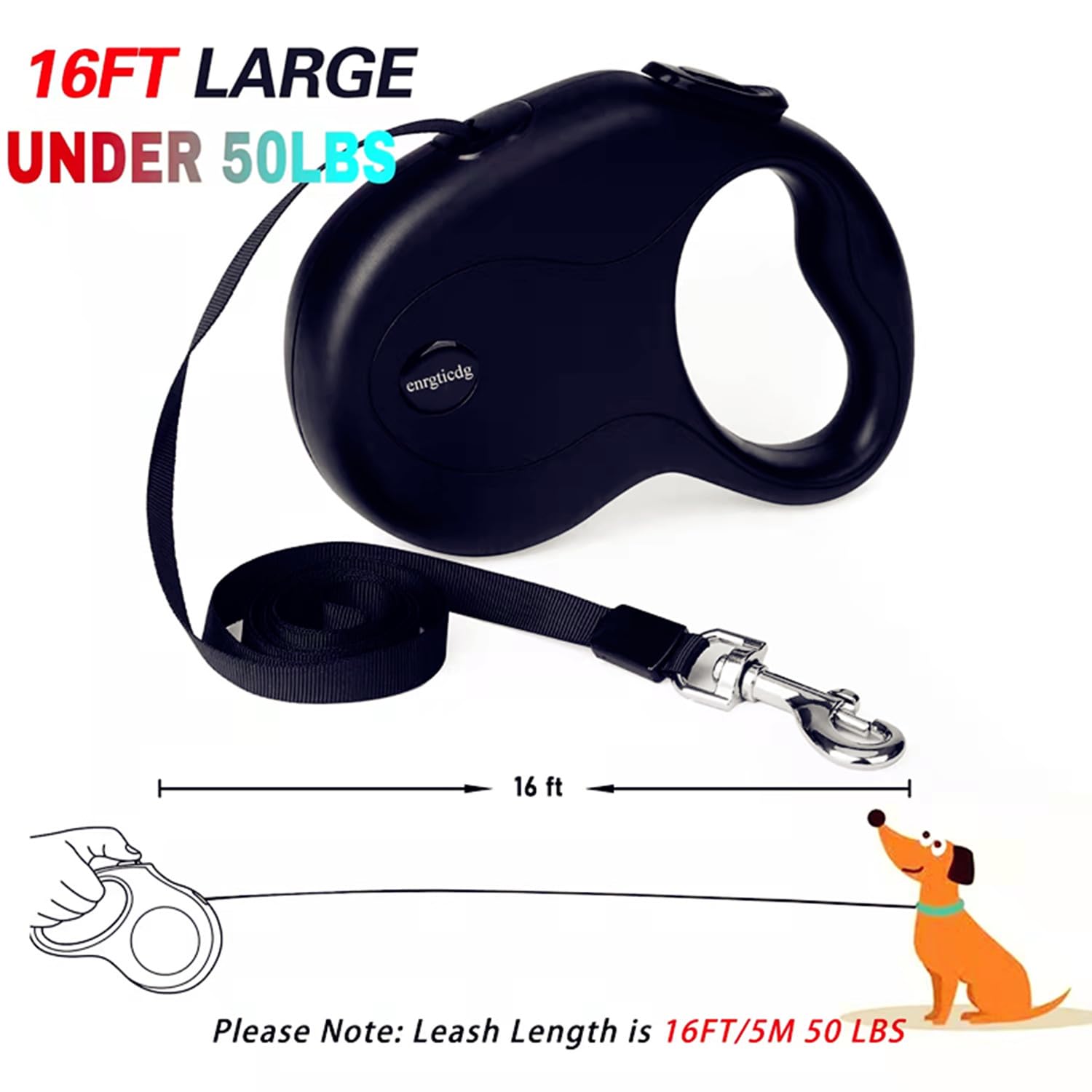 enrgticdg leash demonstrates tangle-free 360-degree tape movement during walks.