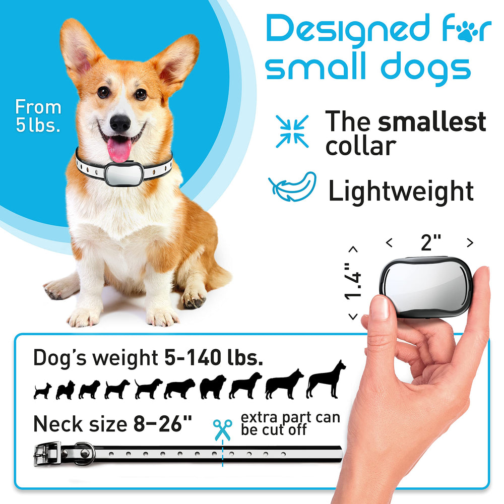 Enrivik dog training guide manual showing easy basic commands and safe use