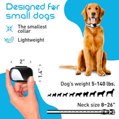 Enrivik adjustable 8-26 inch strap supports comfortable tiny-dog training.