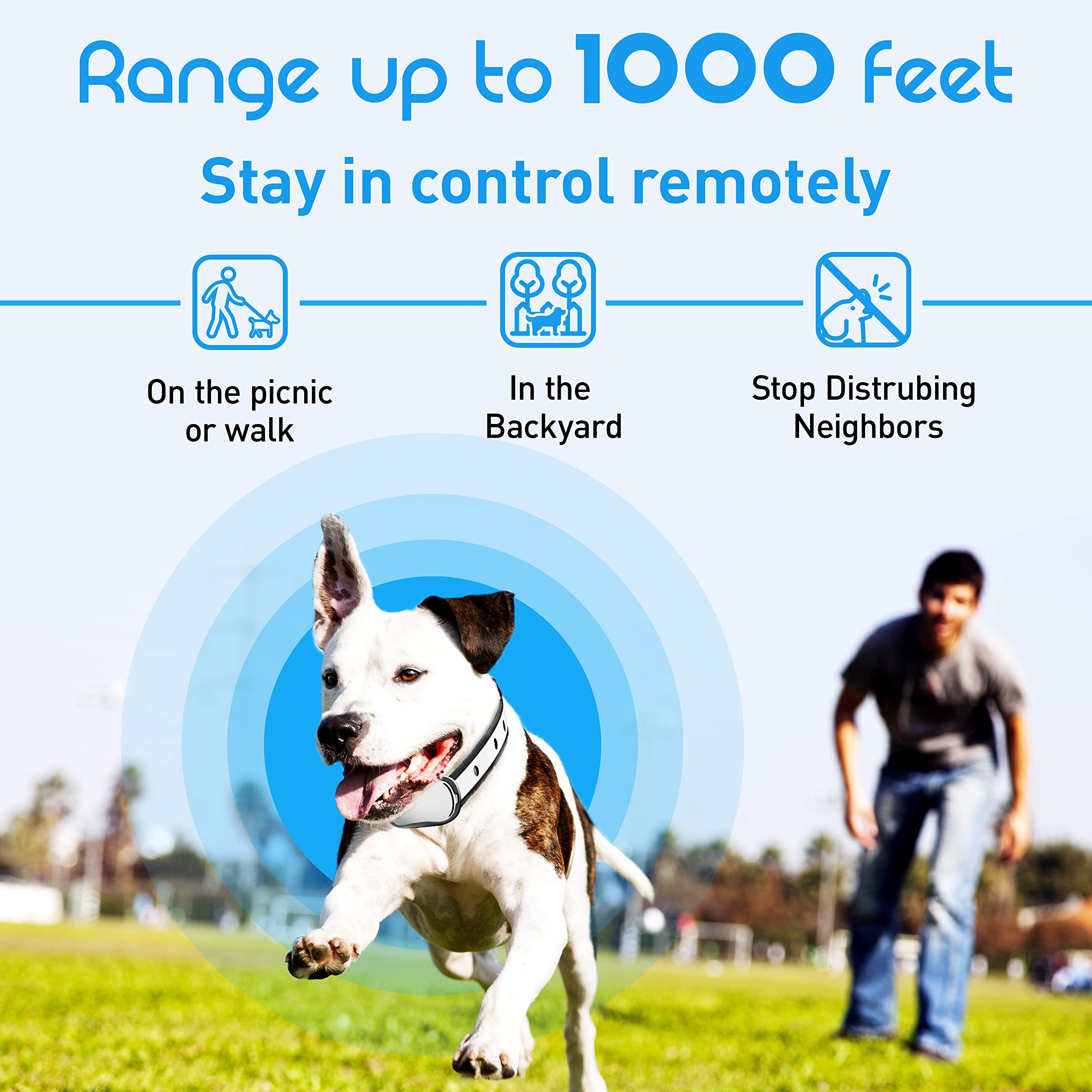 Enrivik thin lightweight strap keeps small dogs comfortable during long training