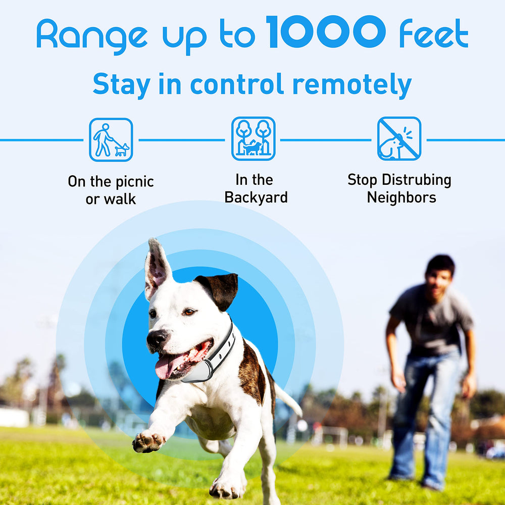 Enrivik thin lightweight strap keeps small dogs comfortable during long training