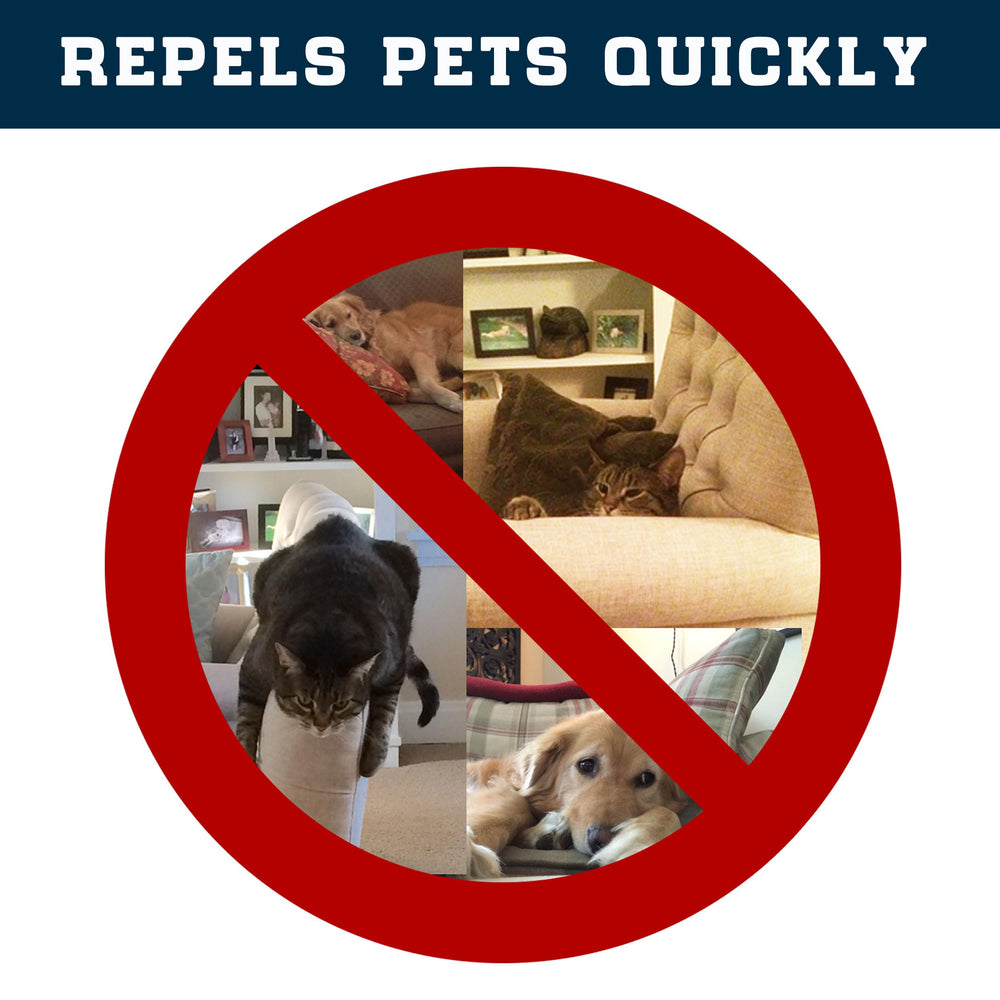 Enthusiast Gear non-electric pet mat is safe for cats and dogs.