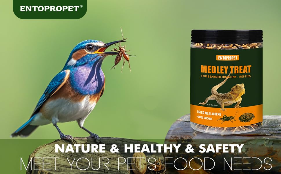 Bird and tropical fish setup with Entopropet medley treat.