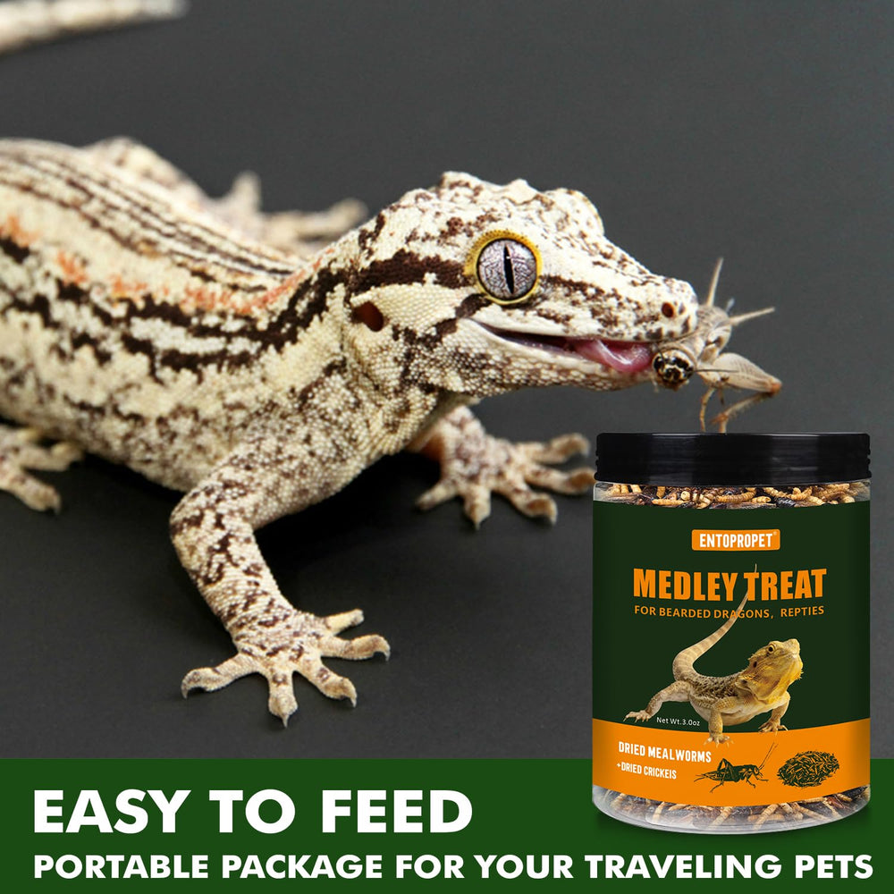 Entopropet tropical fish snack platter, ready-to-serve medley for tanks.