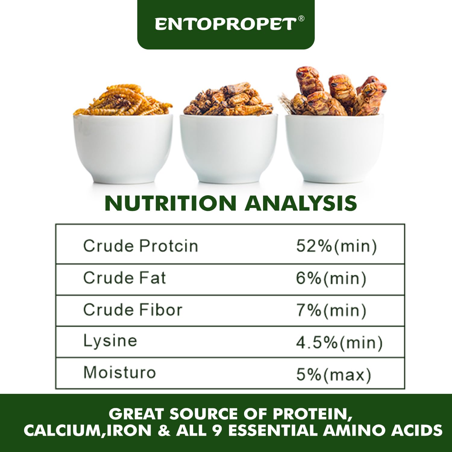 Turtle snack scene with Entopropet supports balanced diet.