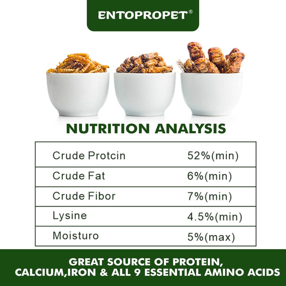 Turtle snack scene with Entopropet supports balanced diet.