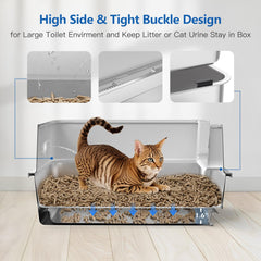 EODO top view showing spacious design and cat clearance