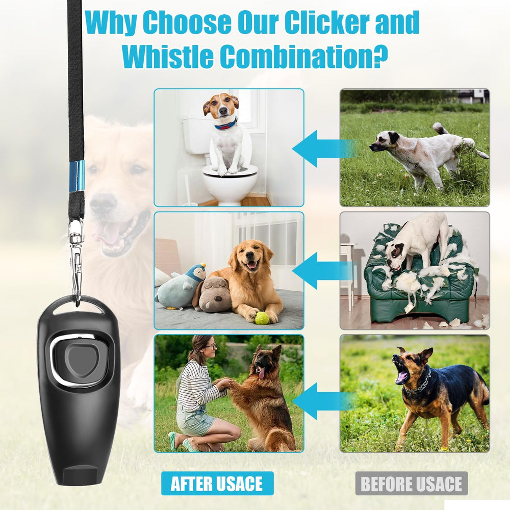 EOEDEPAZ trainer demonstrates using clicker and whistle for cues.