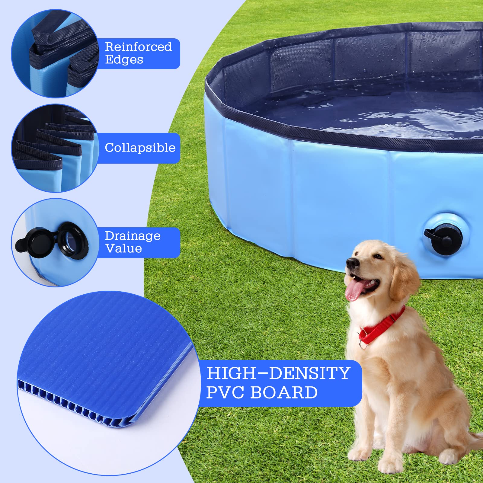 Eooqi foldable dog pool in use in a sunny backyard.