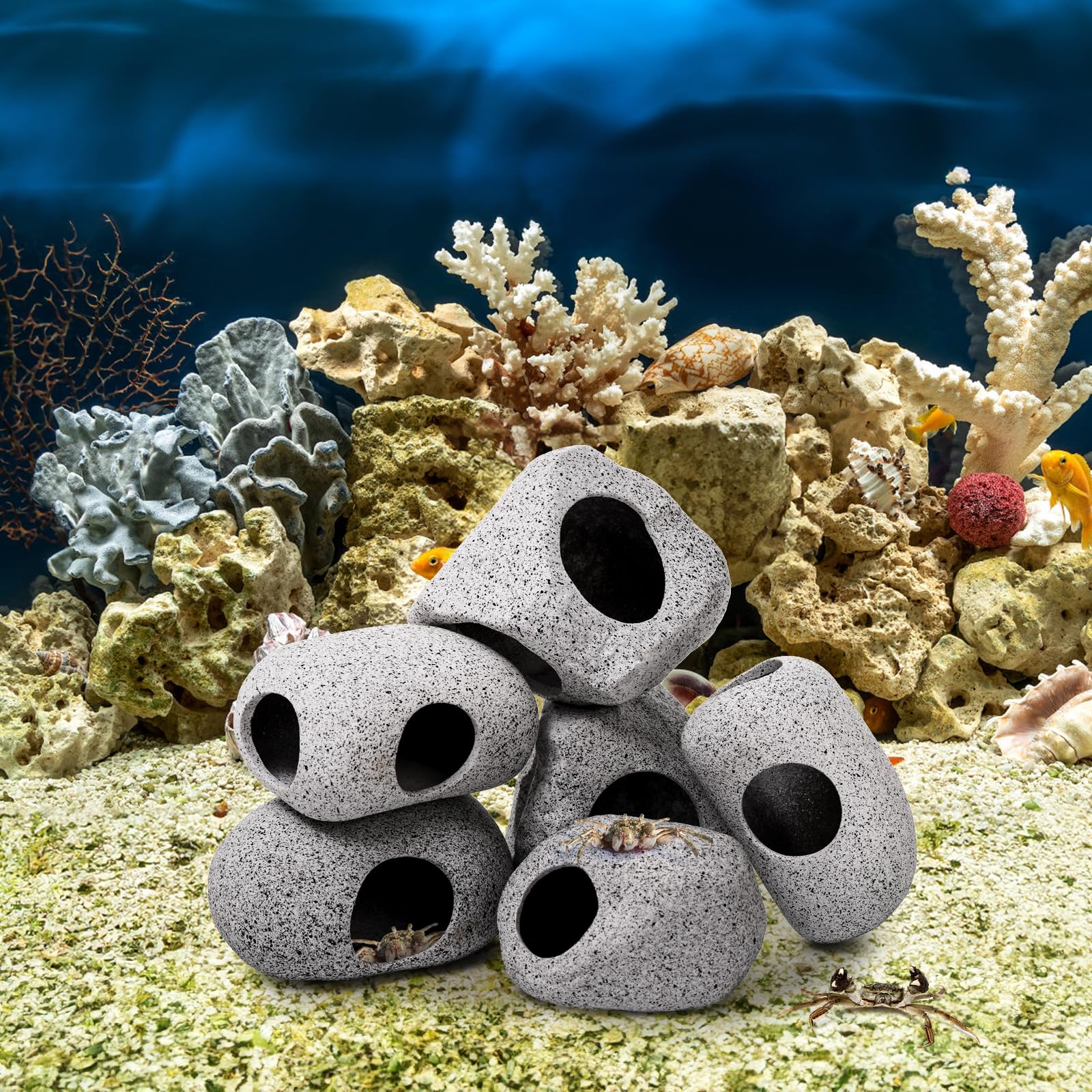 Eorbow rock caves four-size variety supports diverse aquarium landscaping.