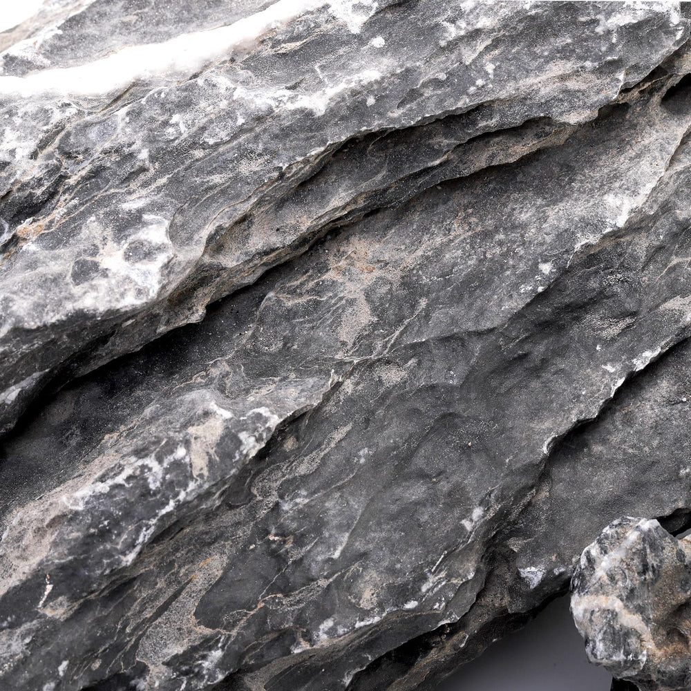 Eorbow Seiryu stone grayscale patterns add natural tank contrast