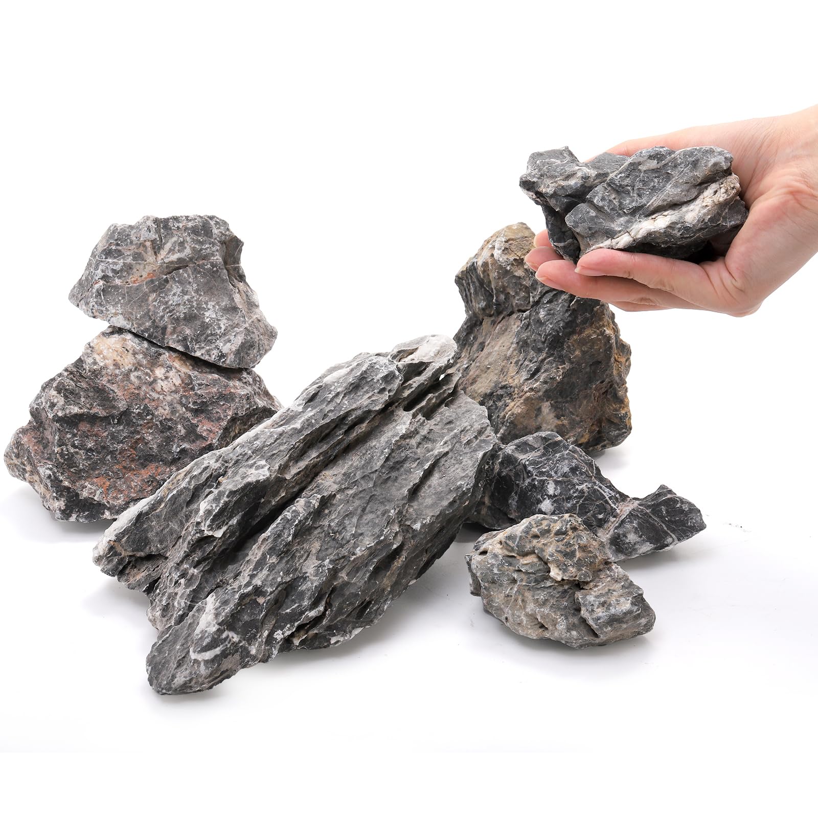 Eorbow Seiryu stone mixed sizes for varied terrarium displays