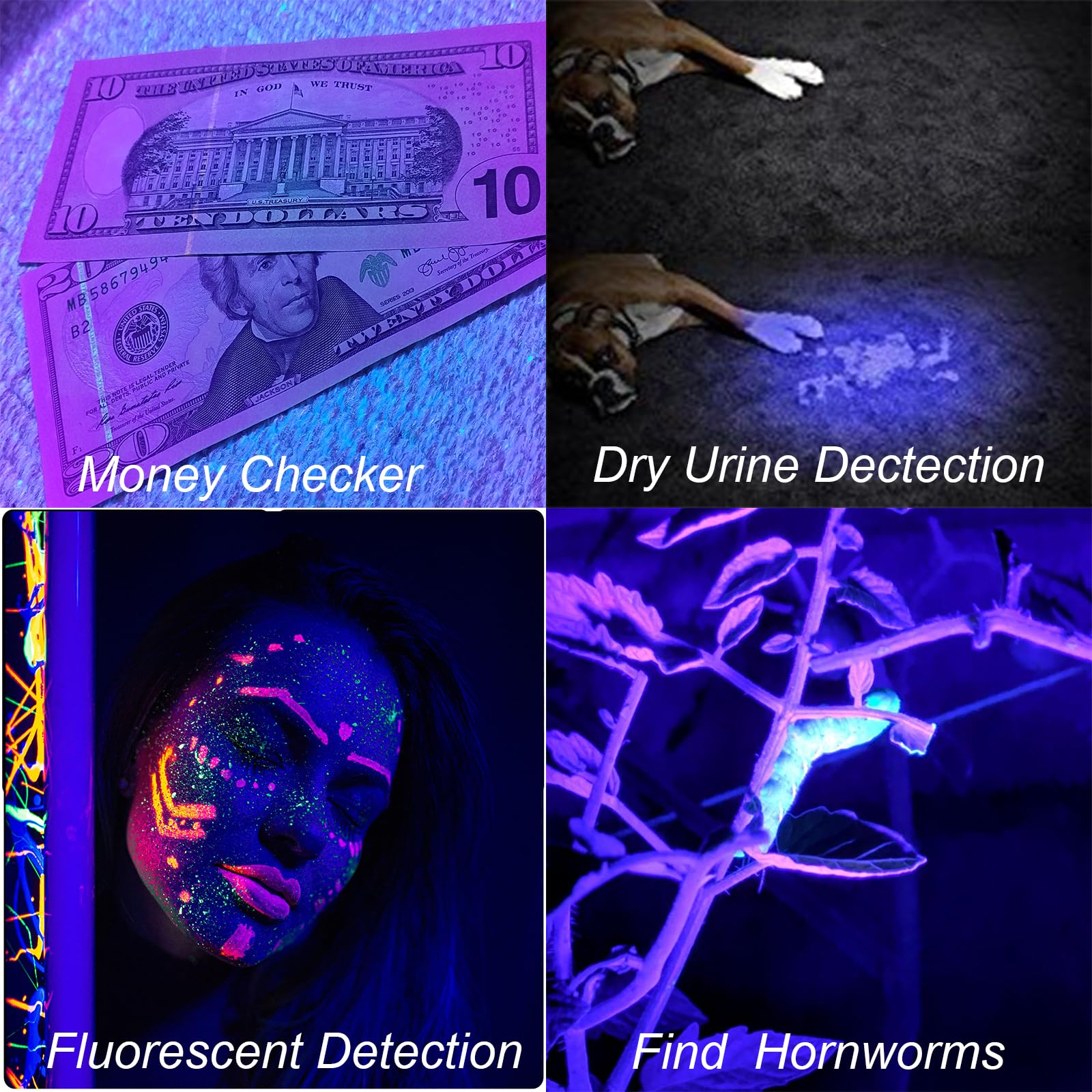 EOWCO 395nm UV flashlight supports currency authentication and ID checks.