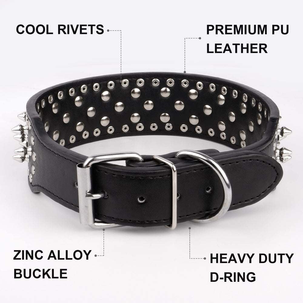 Epesiri dog wearing collar on leash demonstrates stylish protection during walks.