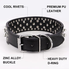Epesiri dog wearing collar on leash demonstrates stylish protection during walks.