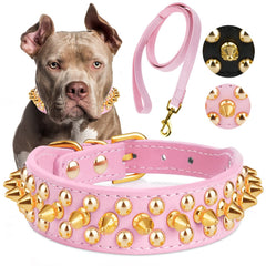 Epesiri golden spike collar in pink for dogs, stylish protection during play.