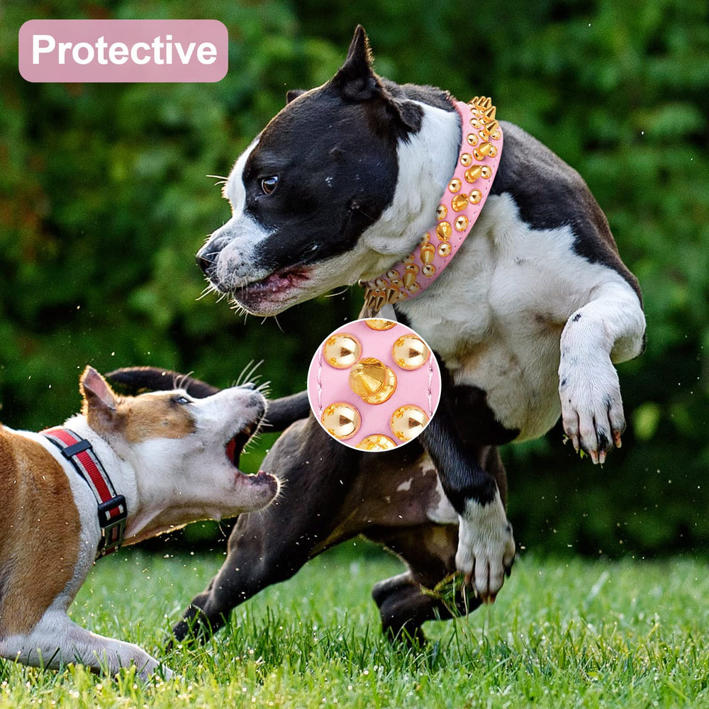 Epesiri PU leather studded collar with leash offers durable daily wear.