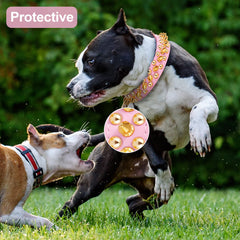Epesiri PU leather studded collar with leash offers durable daily wear.
