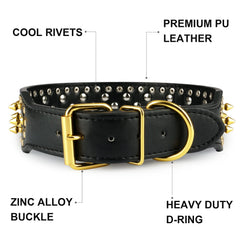 Epesiri wide gold spiked dog collar on dog showing secure leash attachment with D-ring