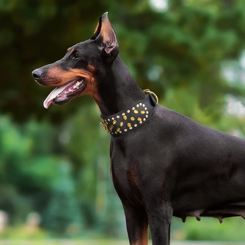 Epesiri wide gold spiked dog collar packaging and gift-ready presentation