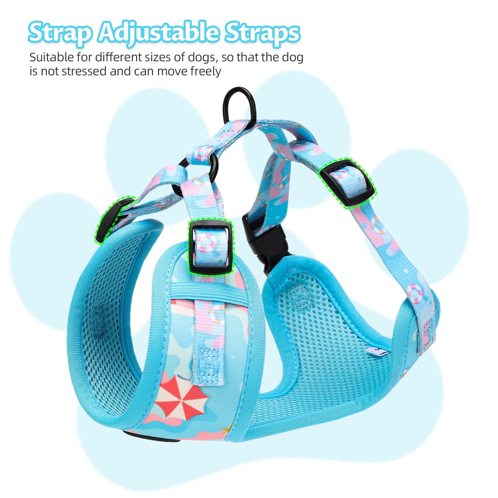 EPETKO adjustable straps ensuring secure fit for small dogs