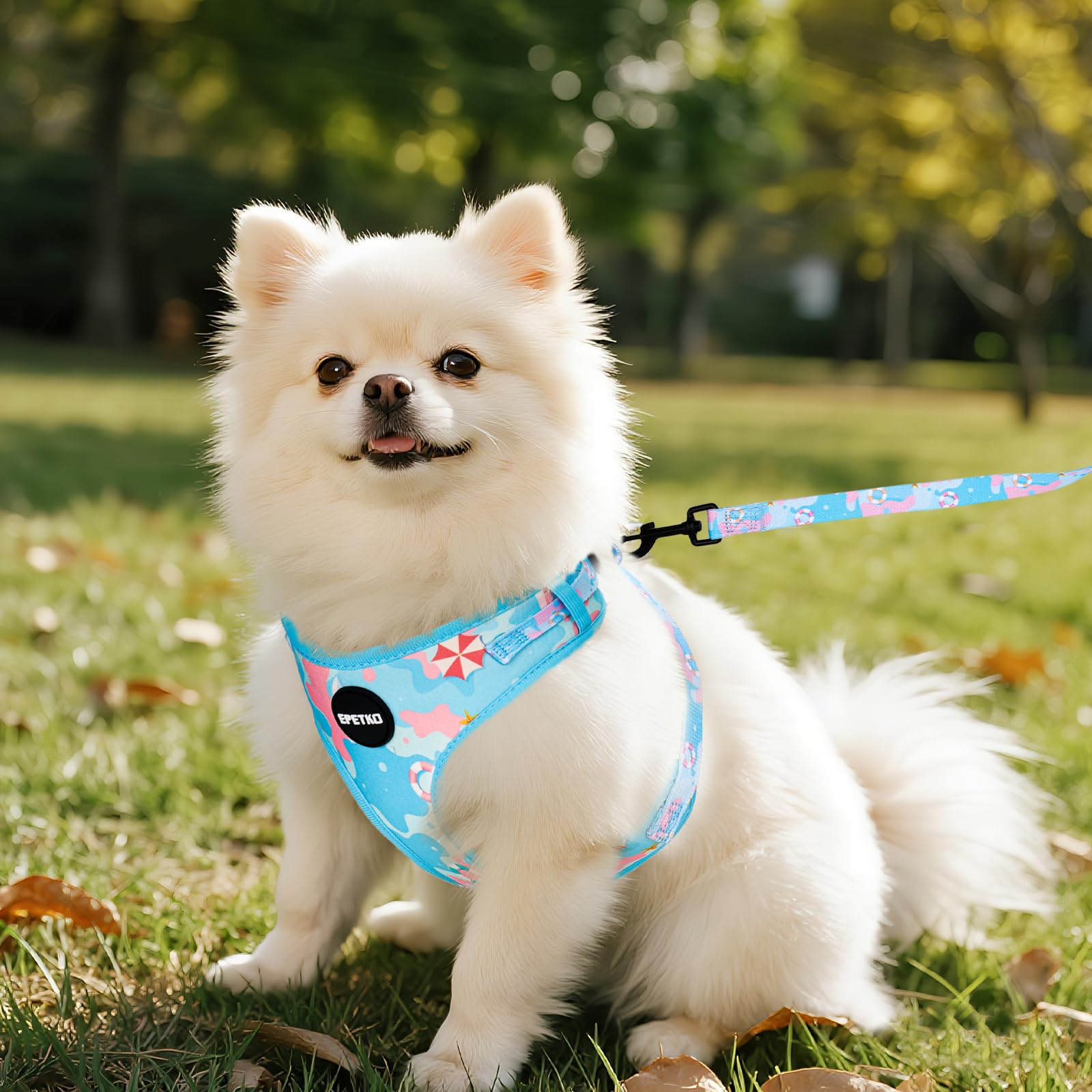 EPETKO lightweight harness weighing about 0.5 lb during outdoor activity