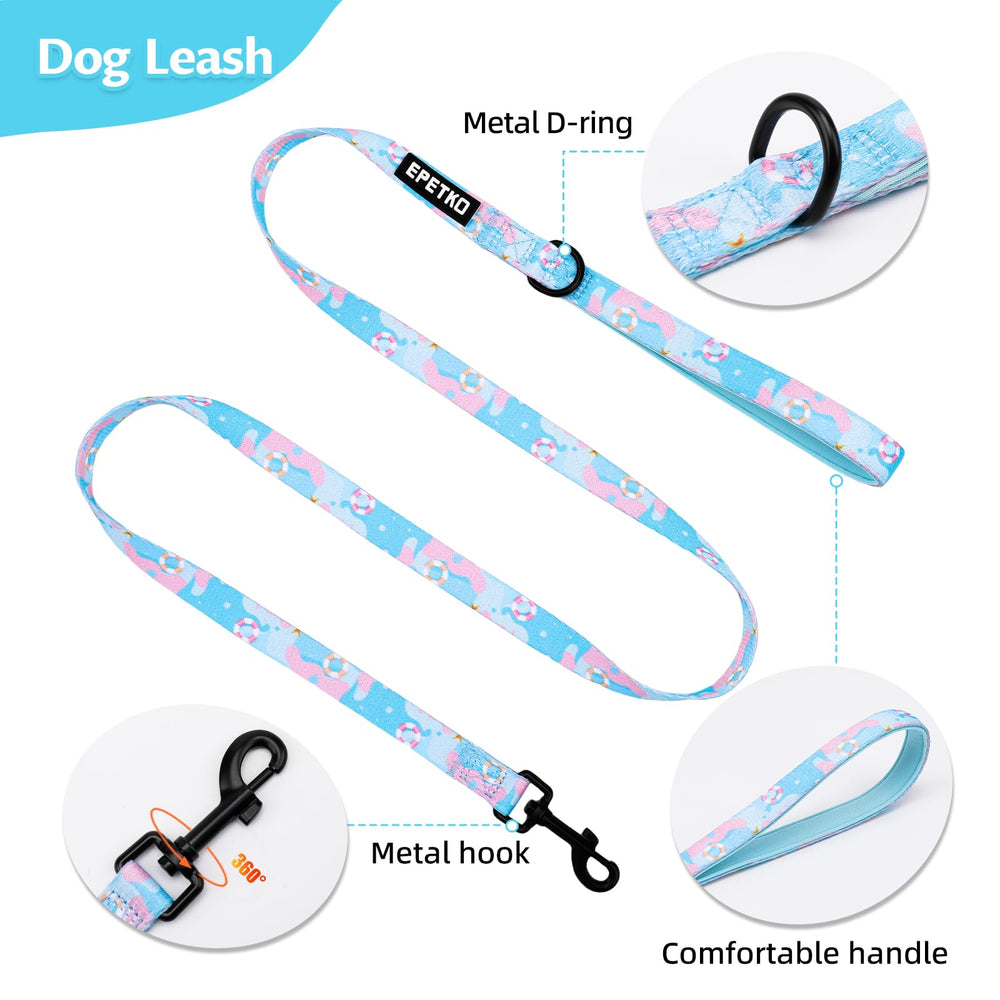 EPETKO outing kit components including leash bow tie and collar