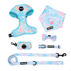 EPETKO small dog harness on dog during a walk for comfortable control