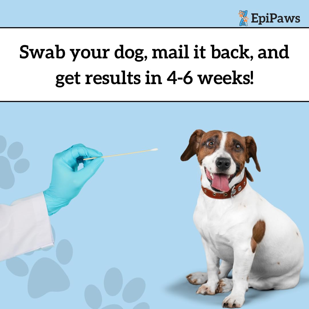 EpiPaws lab-results download image showing printable report.