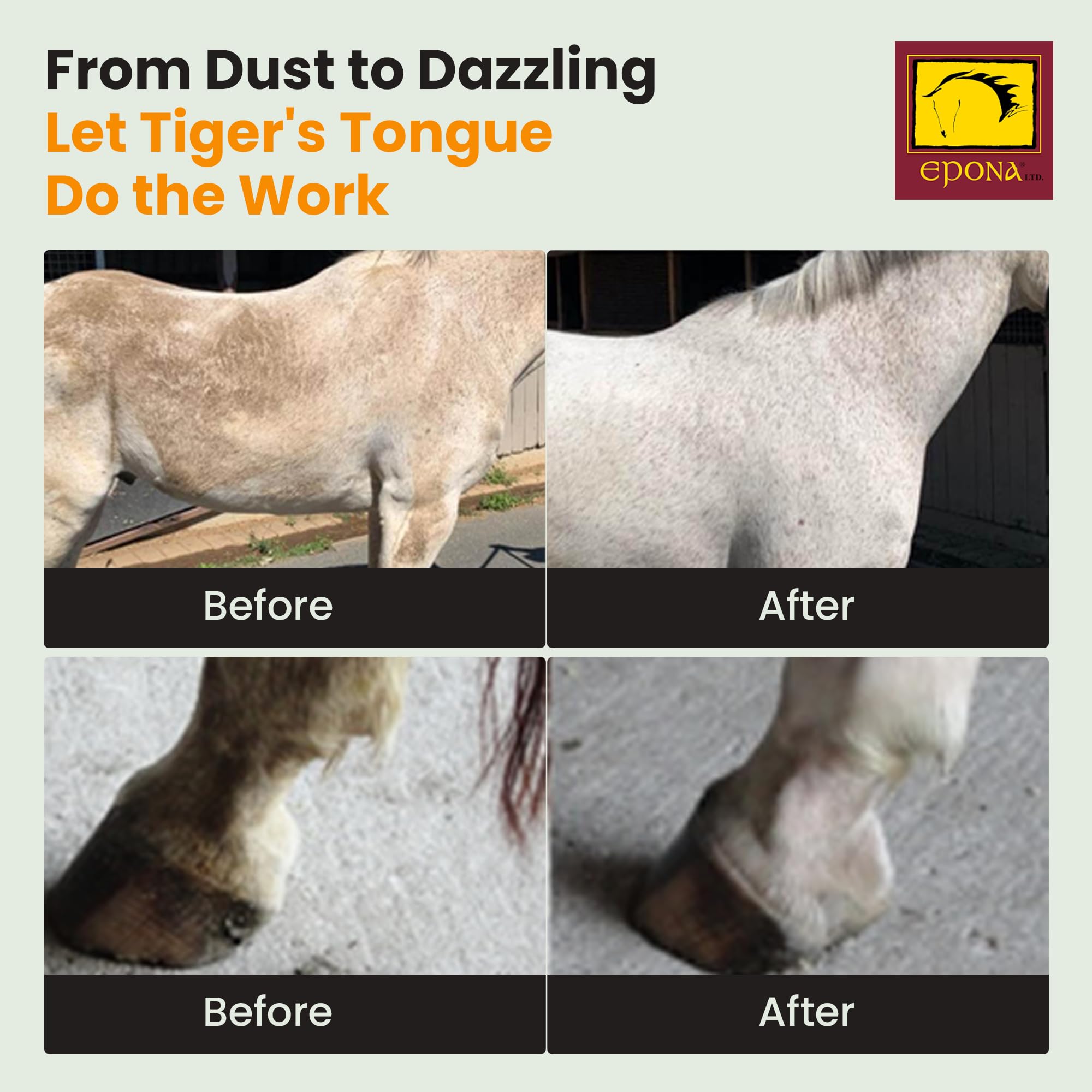 Epona Tiger’s Tongue Dust-Free Grooming keeps dust down during cleansing sessions.