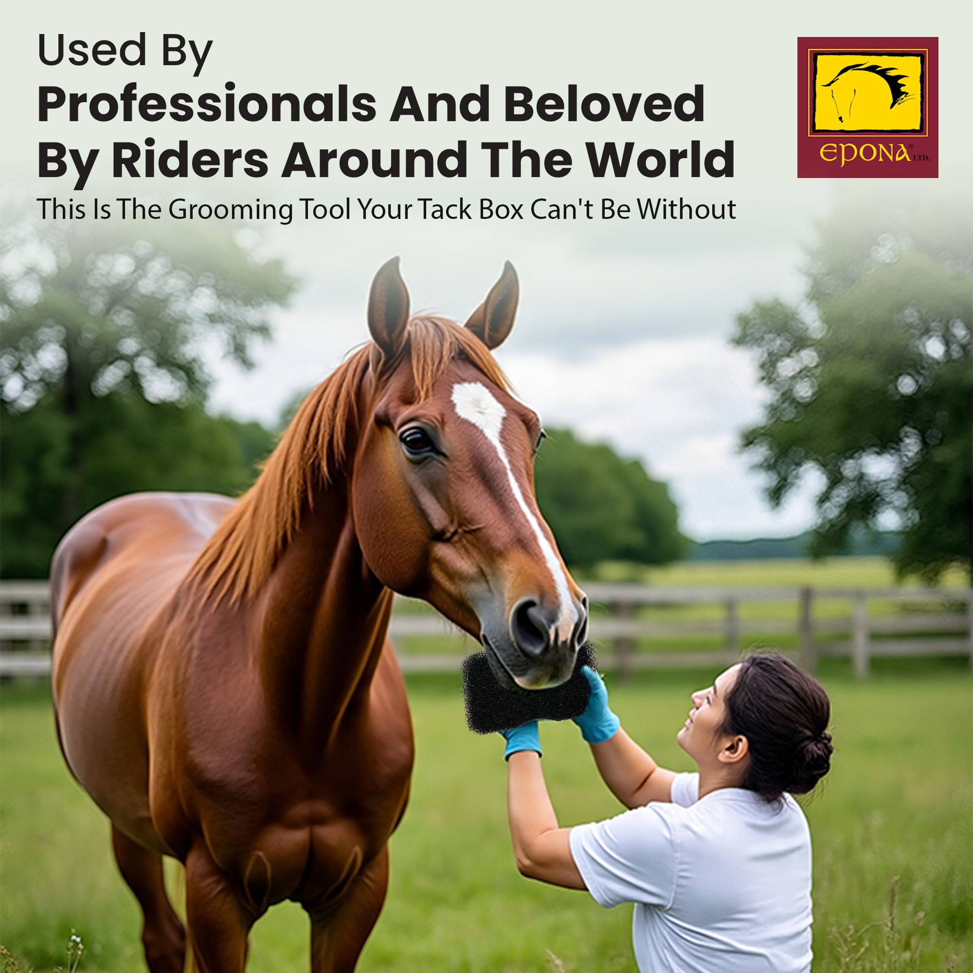 Epona Tiger’s Tongue Hooves Buffing Tool helps hoof-wall polishing with a soothing touch.