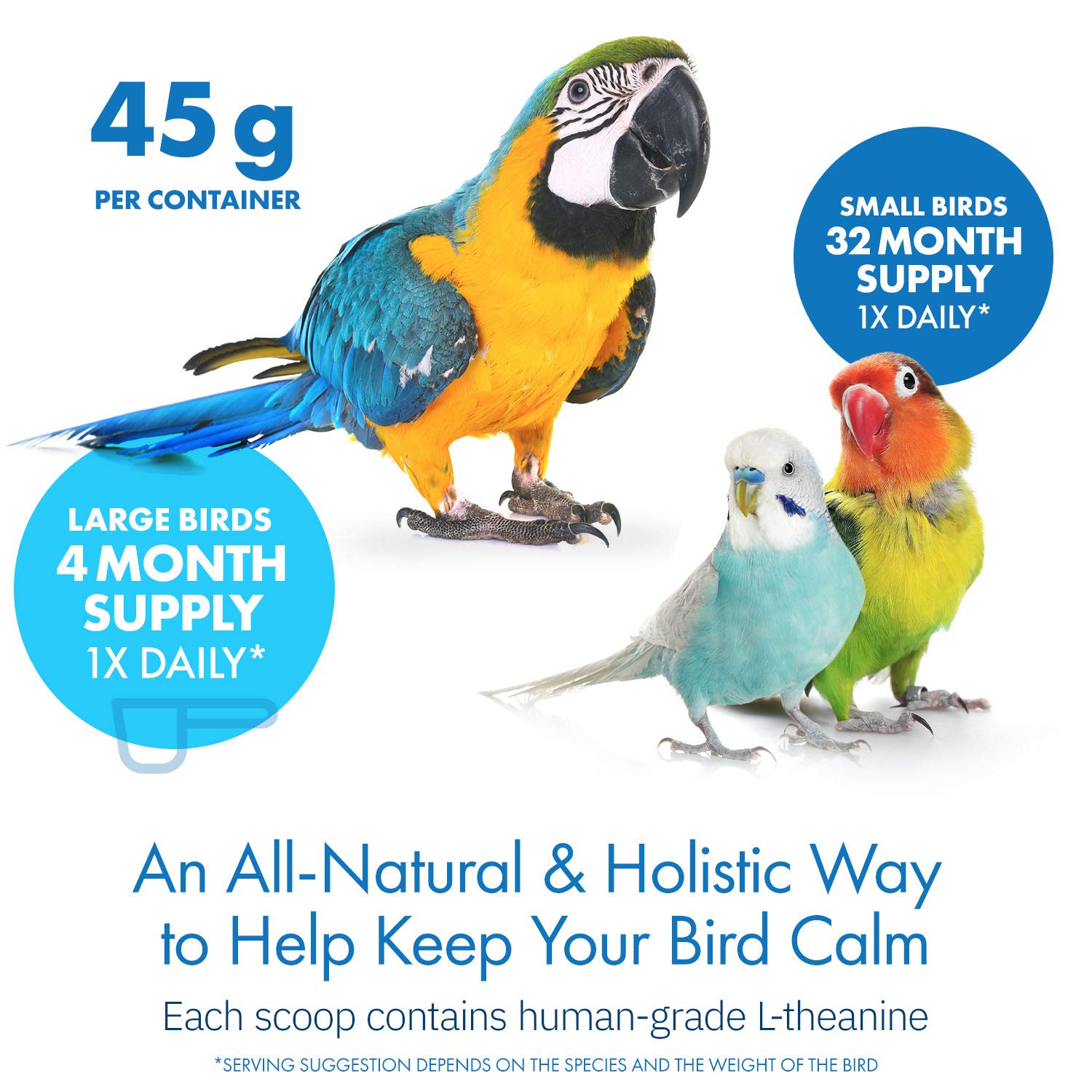 Equa Holistics Avian Calm bird eating dish showing on-food application