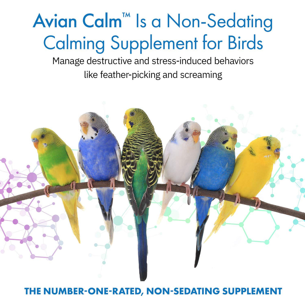 Equa Holistics Avian Calm dosing spoon for daily servings